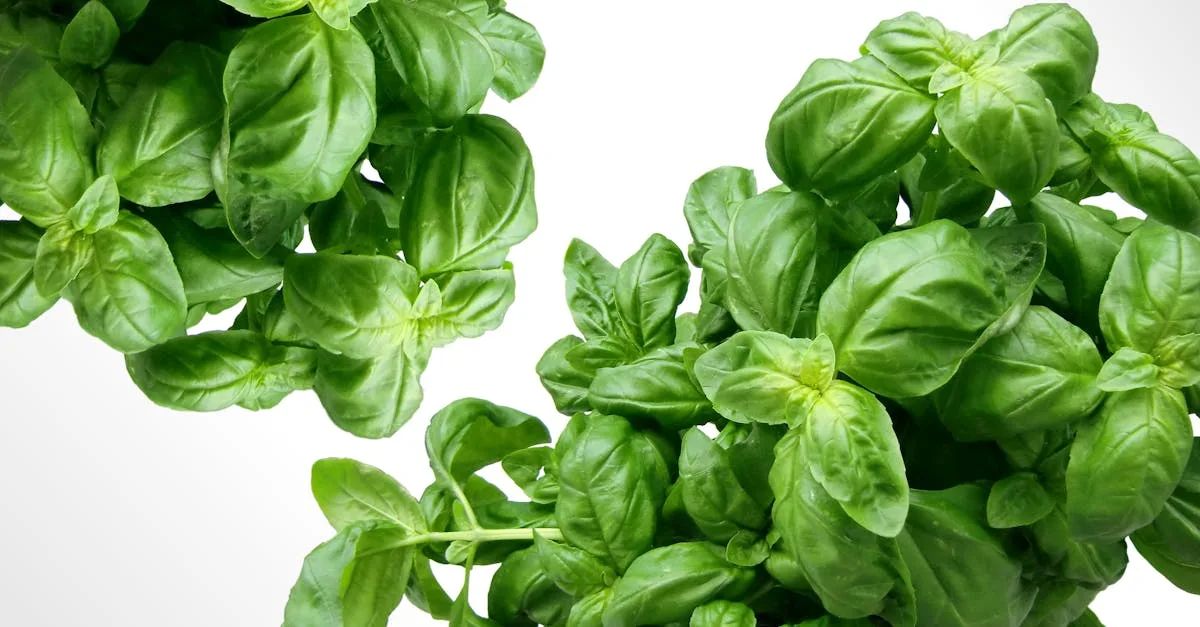 découvrez l’univers des légumes : bienfaits nutritionnels, conseils de préparation, recettes savoureuses et astuces pour intégrer facilement plus de légumes frais dans votre alimentation au quotidien.