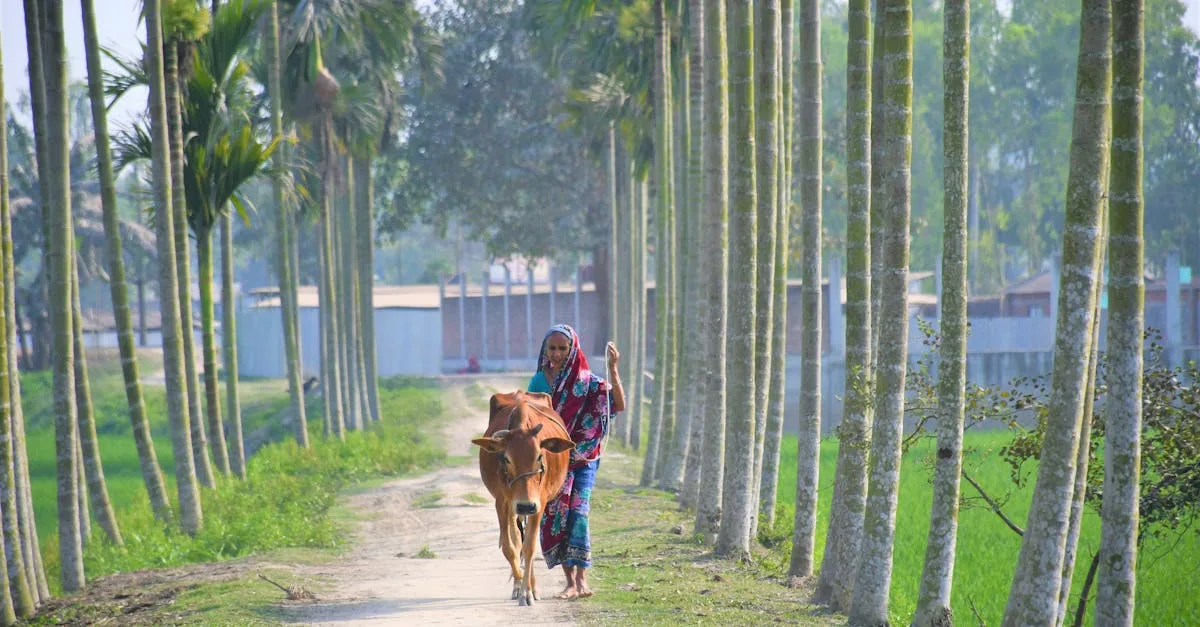 découvrez notre communauté agricole dynamique, dédiée à l'entraide, au partage de connaissances et à la promotion des pratiques durables pour un avenir agricole prospère.