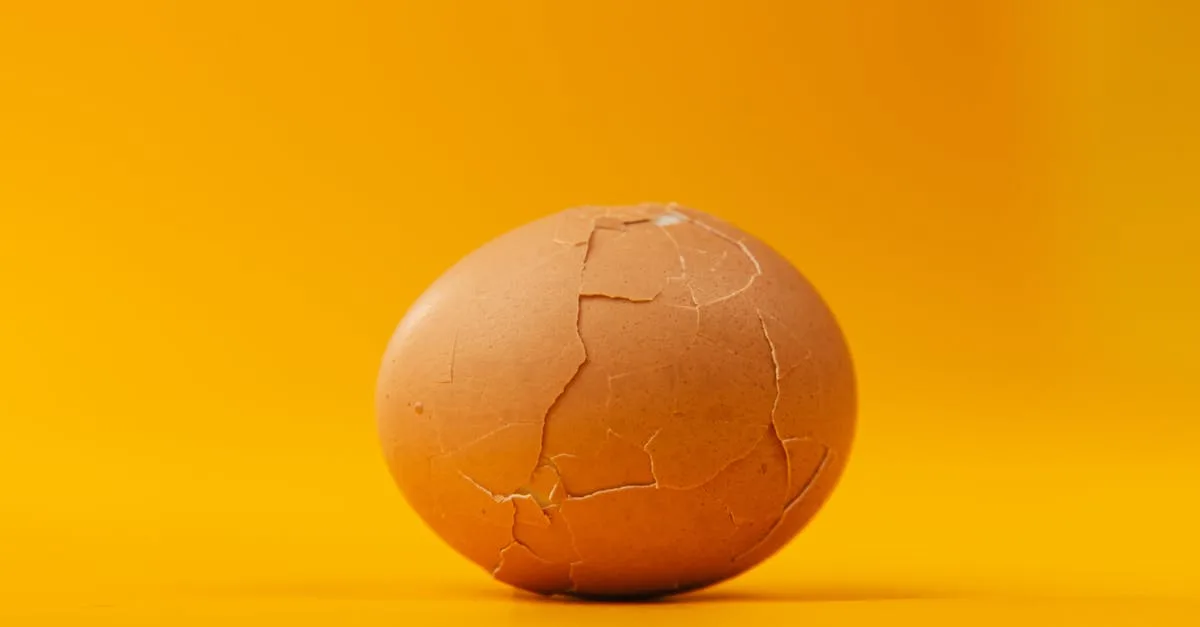 découvrez comment vérifier la date de péremption des œufs et conseils pour conserver leur fraîcheur plus longtemps.