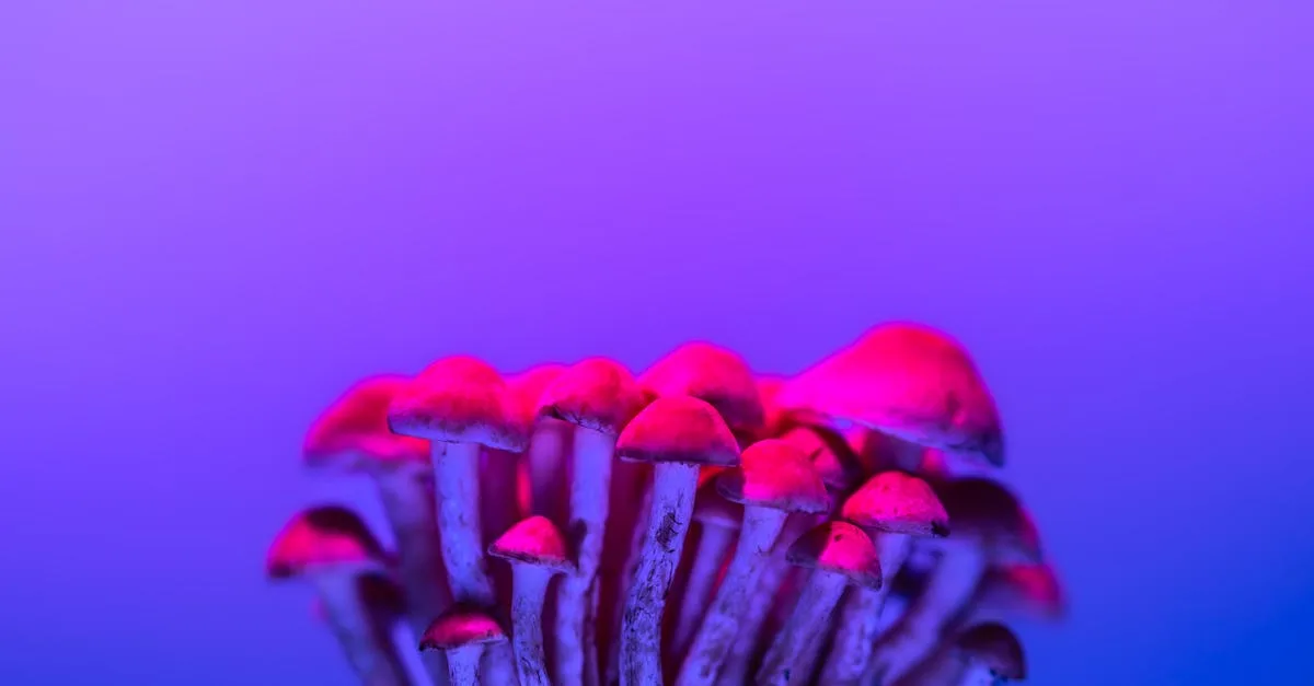 découvrez tout sur l'acide chlorhydrique : propriétés, utilisations industrielles, précautions de sécurité et applications courantes.