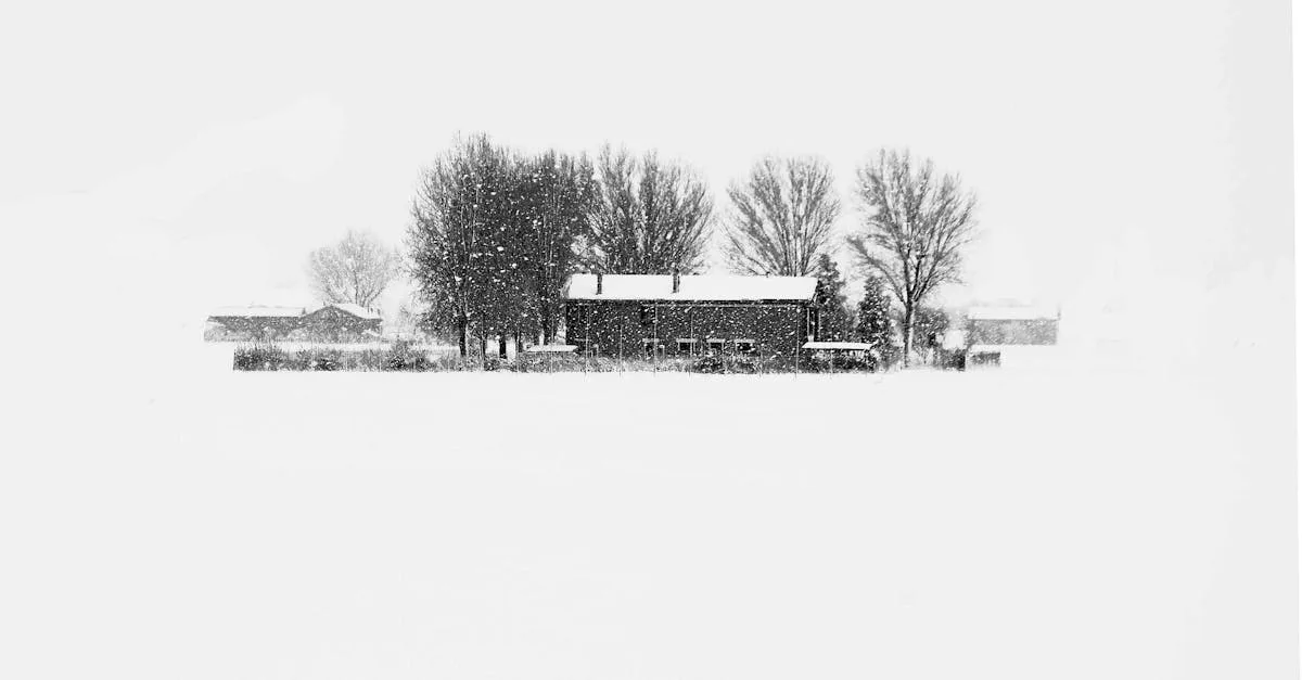 découvrez belleville triplets, une histoire captivante pleine de mystère et d'aventure au cœur du quartier animé de belleville.