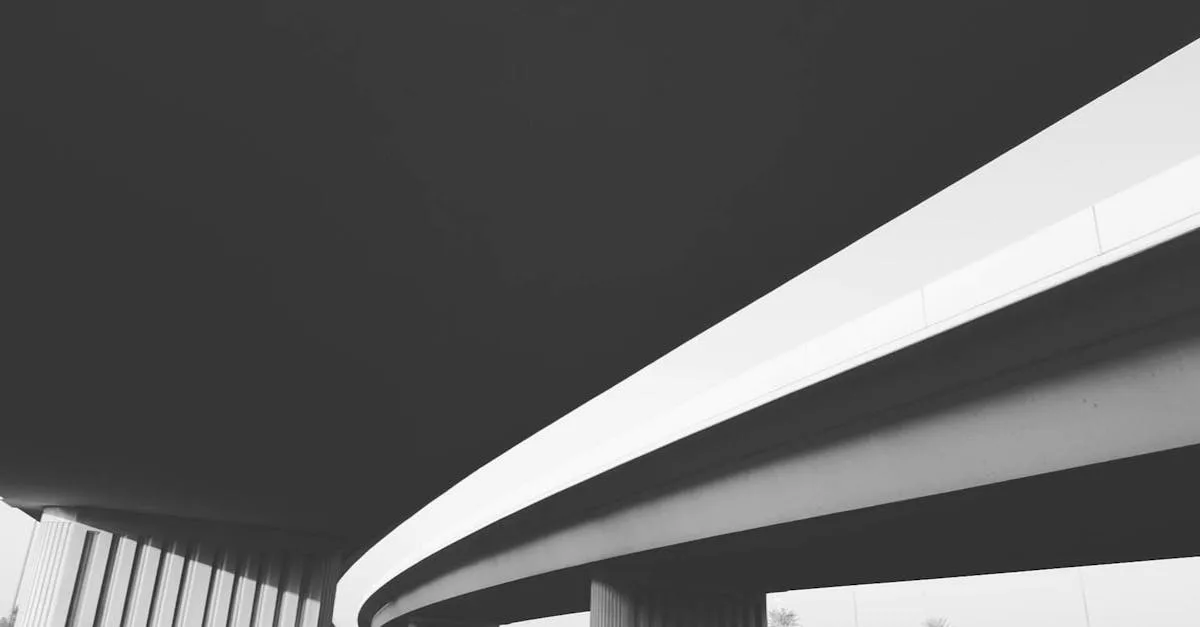 découvrez l'histoire fascinante des triplés de belleville, leur vie unique et leurs aventures exceptionnelles.