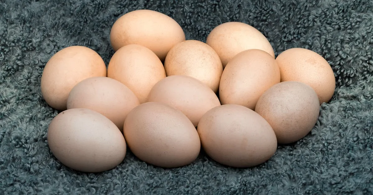 découvrez notre avis complet sur la casserole royal vkb : qualité, performance et design pour vos besoins culinaires.