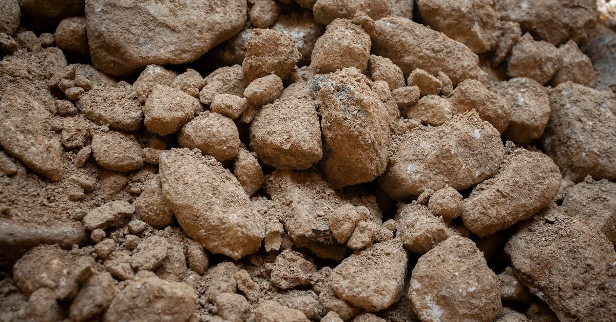 découvrez tout sur le sol : ses types, sa composition, son importance pour l'agriculture et l'environnement, ainsi que des conseils pour préserver sa qualité.
