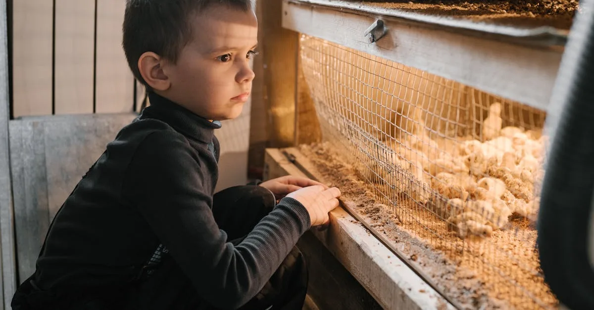 découvrez des activités éducatives à la ferme pour apprendre la nature, les animaux et l'agriculture de manière ludique et interactive.