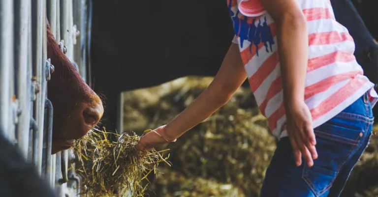 découvrez des activités éducatives à la ferme pour apprendre en s'amusant, adaptées à tous les âges et favorisant la connexion avec la nature et les animaux.