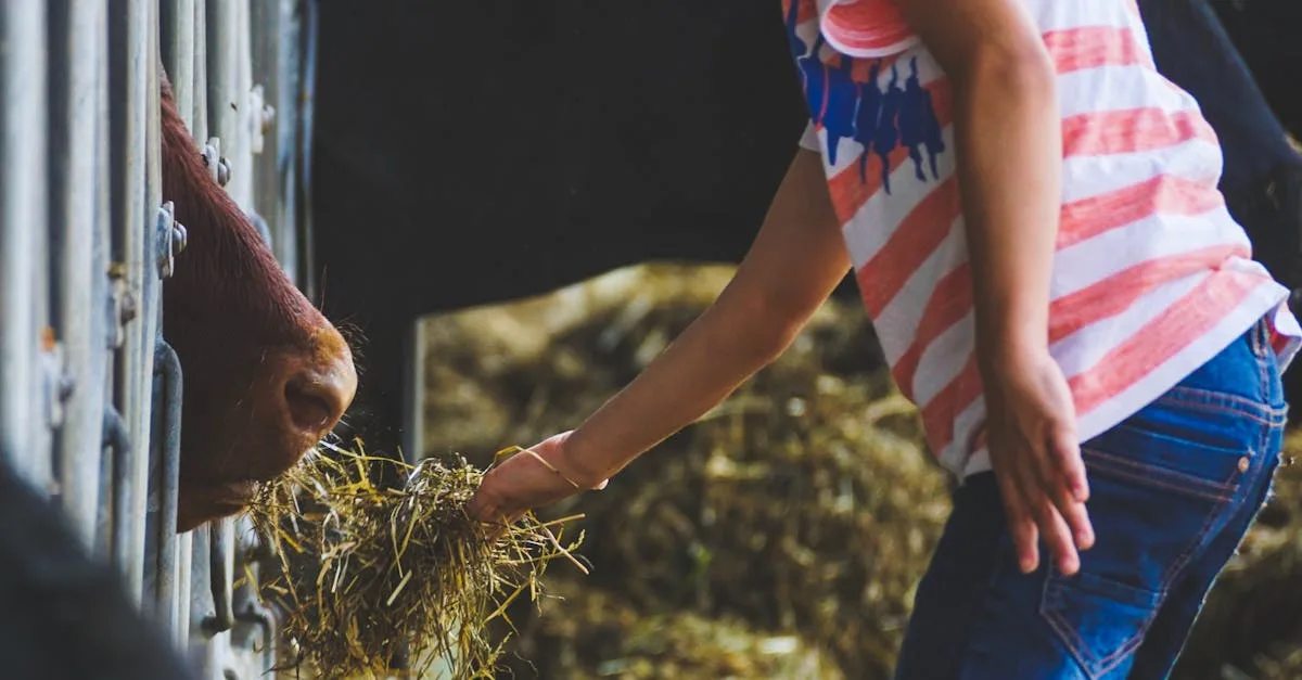 découvrez des activités éducatives à la ferme pour apprendre en s'amusant, adaptées à tous les âges et favorisant la connexion avec la nature et les animaux.