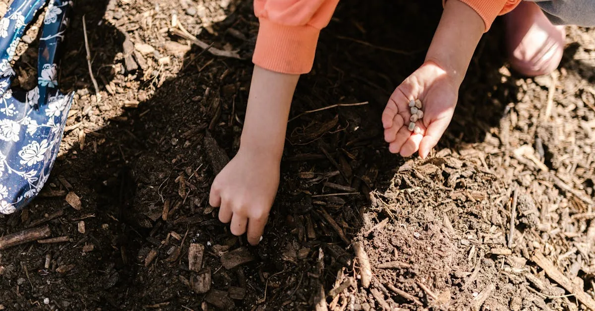 découvrez des activités pédagogiques à la ferme pour sensibiliser enfants et adultes à la nature, l'agriculture durable et le bien-être animal.
