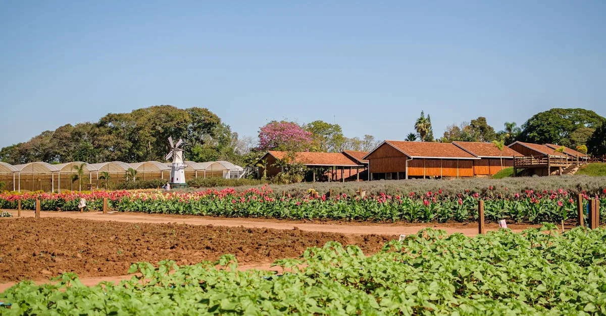 découvrez le farm inn, un hébergement charmant à la campagne alliant confort et authenticité pour un séjour détente en pleine nature.