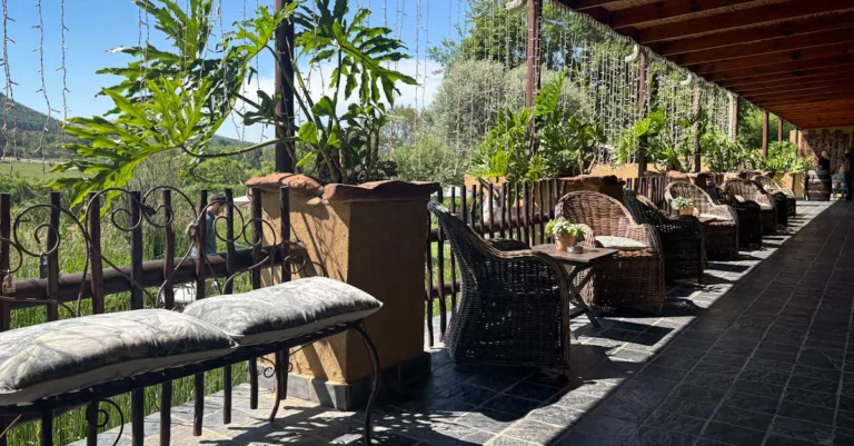découvrez farm inn, un charmant hébergement à la ferme offrant confort et authenticité au cœur de la nature. parfait pour un séjour détente et dépaysant.