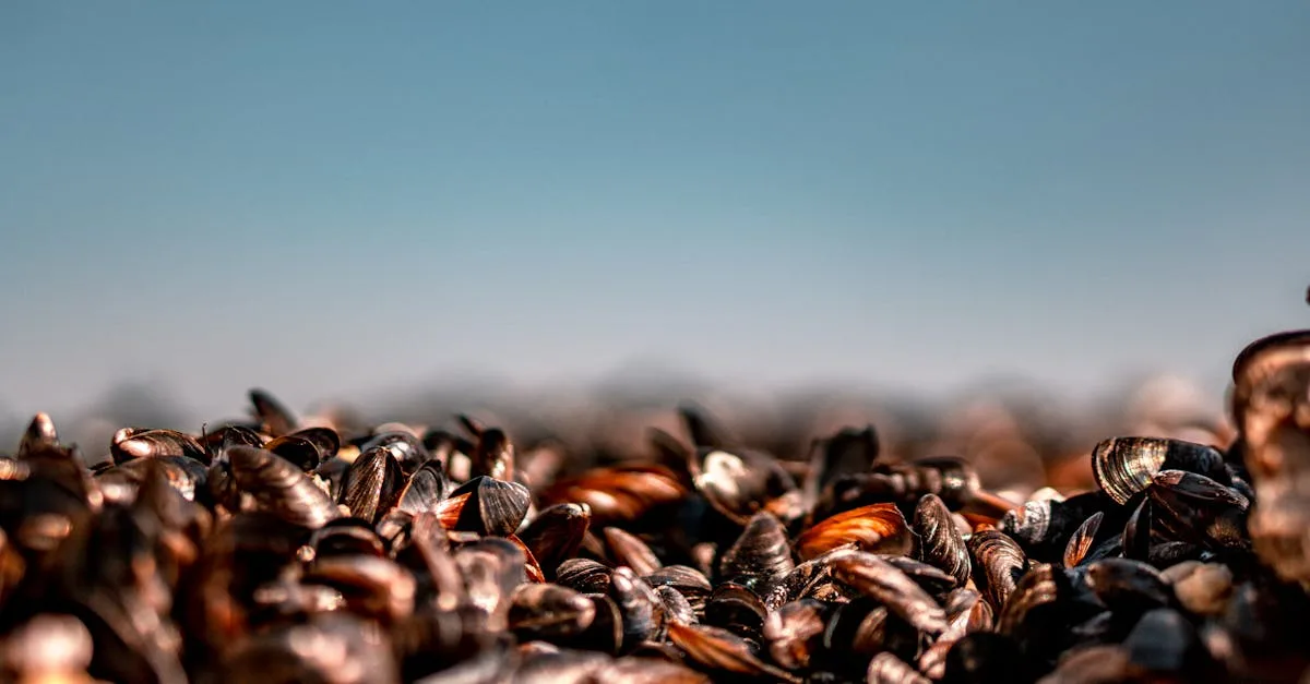 découvrez la quantité idéale de moules à prévoir par personne pour réussir vos repas et éviter le gaspillage.