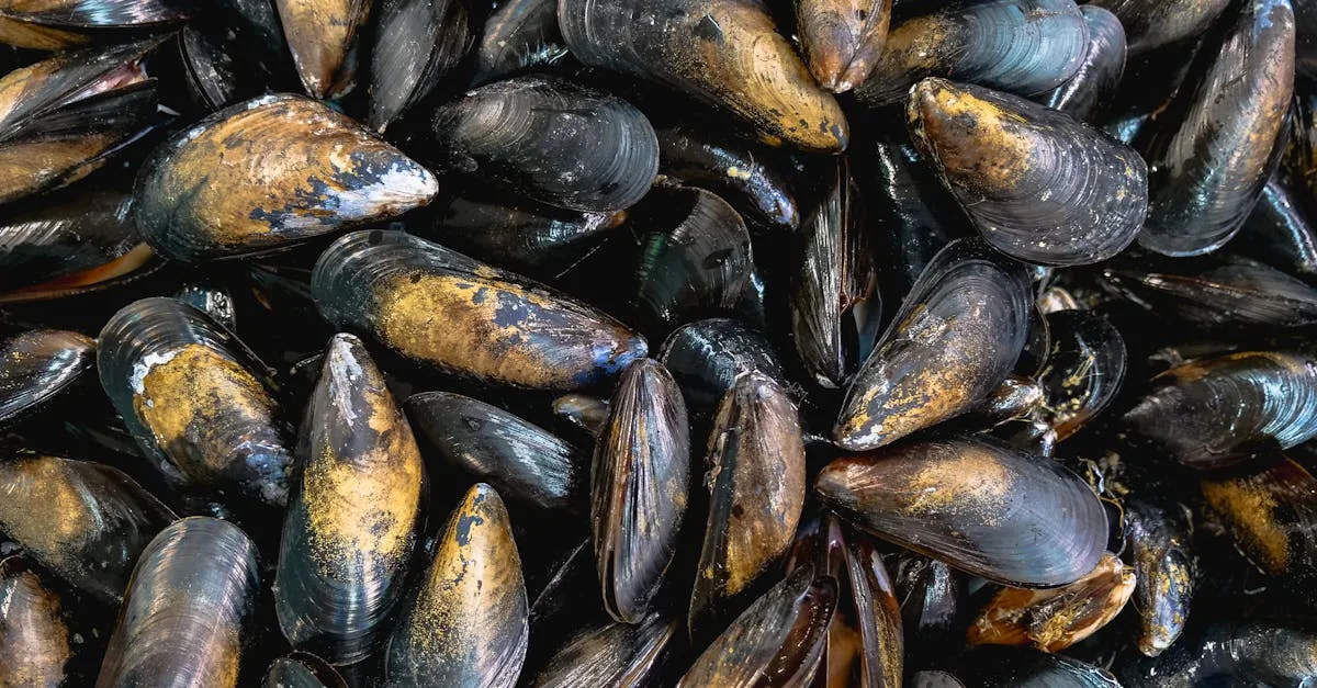 découvrez la quantité idéale de moules à prévoir par personne pour réussir vos repas et régalez vos convives avec des portions adaptées.
