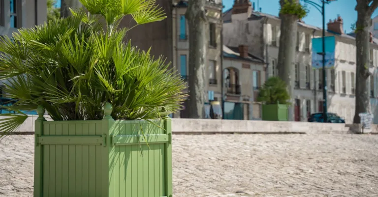 verdeau est une marque dédiée à l'art de vivre naturel et authentique, offrant des produits éco-responsables pour un quotidien plus vert et harmonieux.