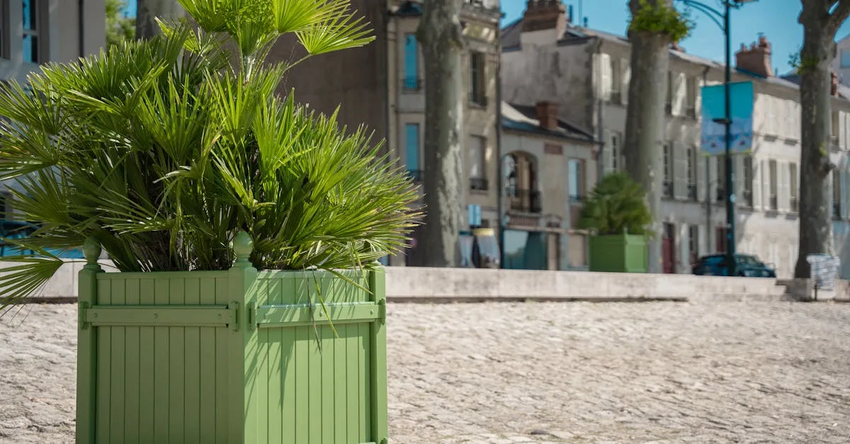 verdeau est une marque dédiée à l'art de vivre naturel et authentique, offrant des produits éco-responsables pour un quotidien plus vert et harmonieux.