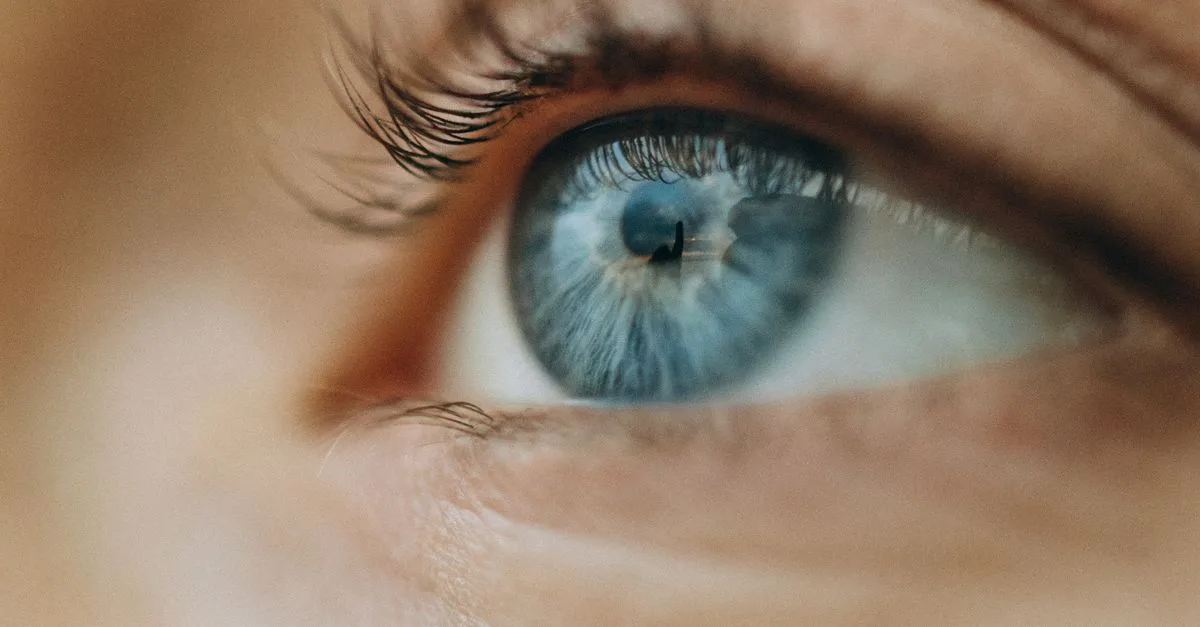 découvrez les mécanismes de la perception des couleurs et comment notre cerveau interprète les différents stimuli lumineux.