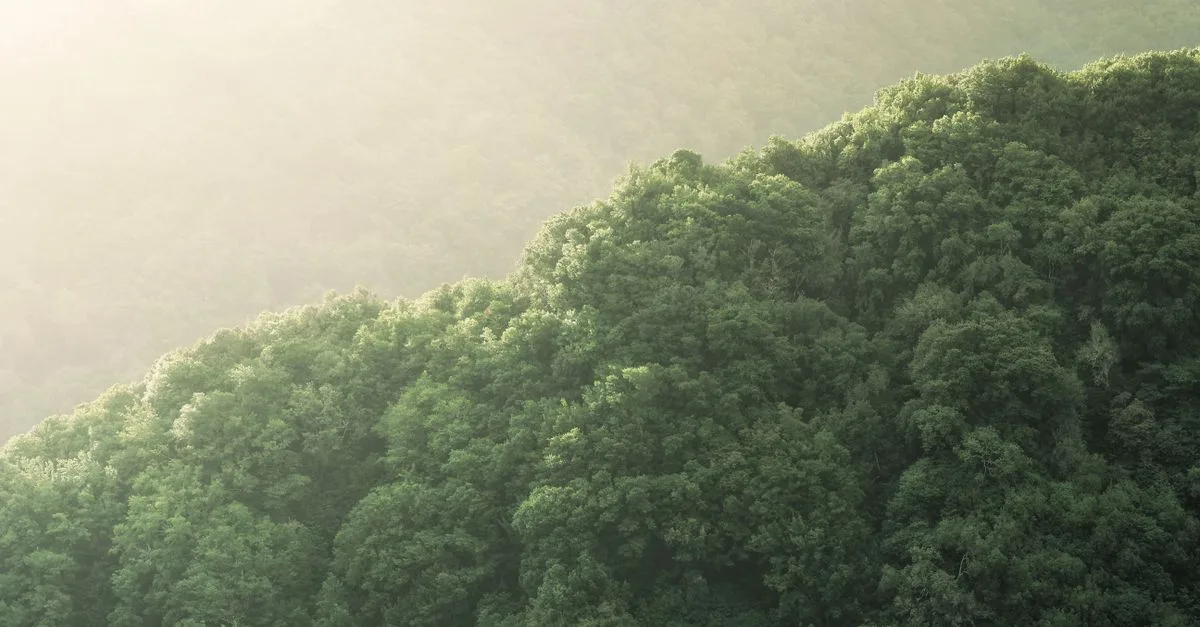 découvrez les réglementations environnementales essentielles pour protéger la nature et garantir un développement durable. informez-vous sur les lois et normes en vigueur.