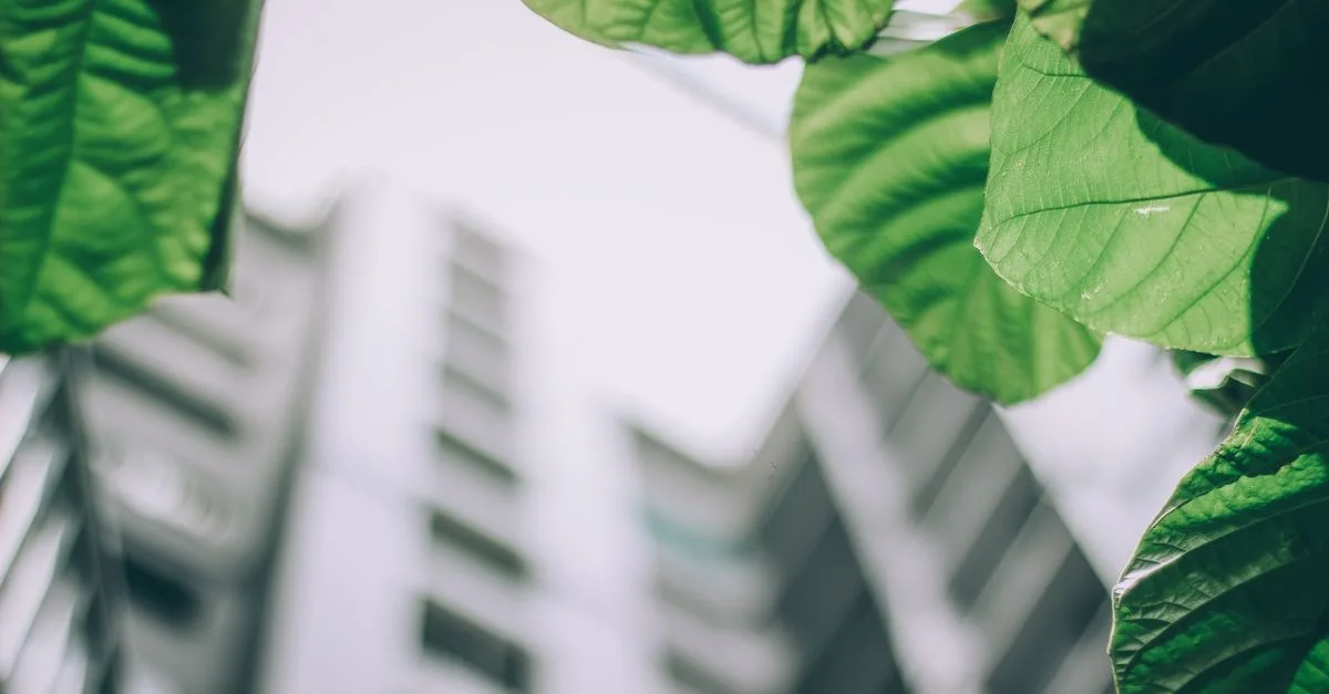 découvrez les réglementations environnementales et leur impact sur la protection de la nature, la gestion des ressources, et la conformité légale.