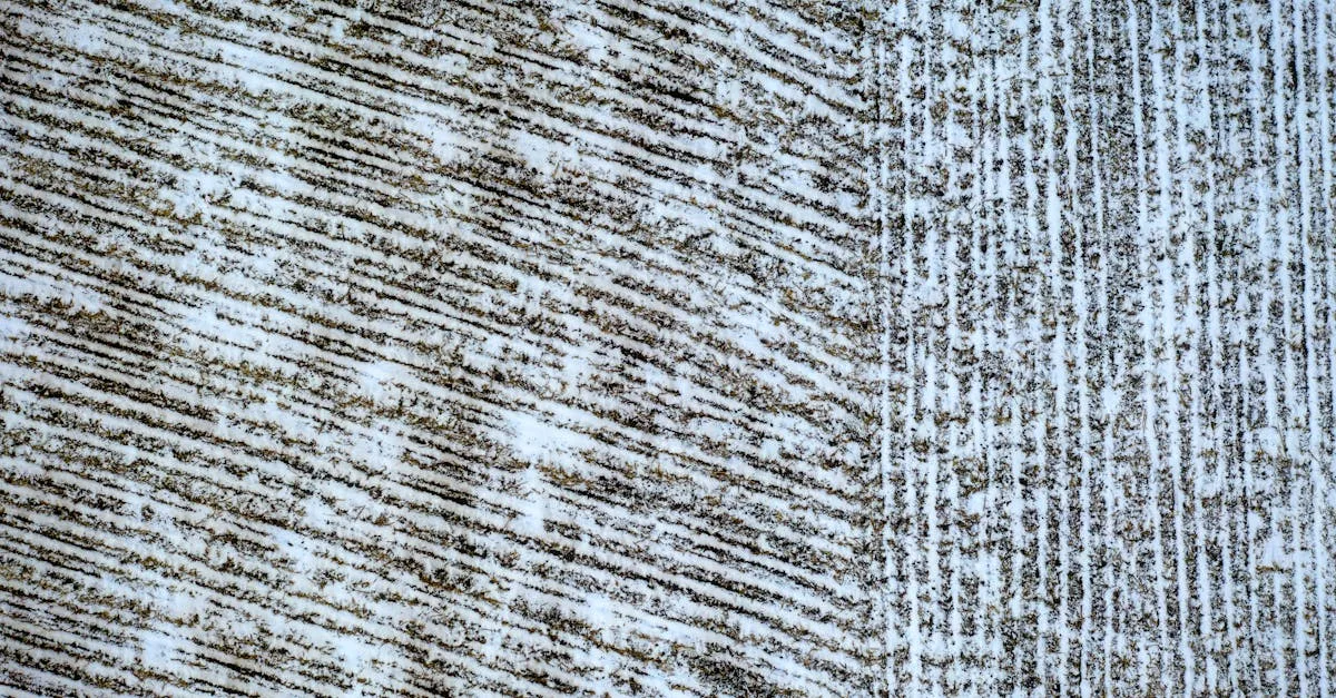 découvrez roller marks, votre source incontournable pour tout savoir sur le roller : conseils, techniques, équipements et astuces pour tous les niveaux.