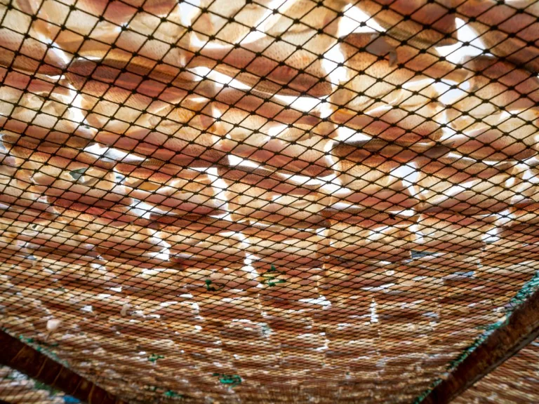 filet de camouflage pergola