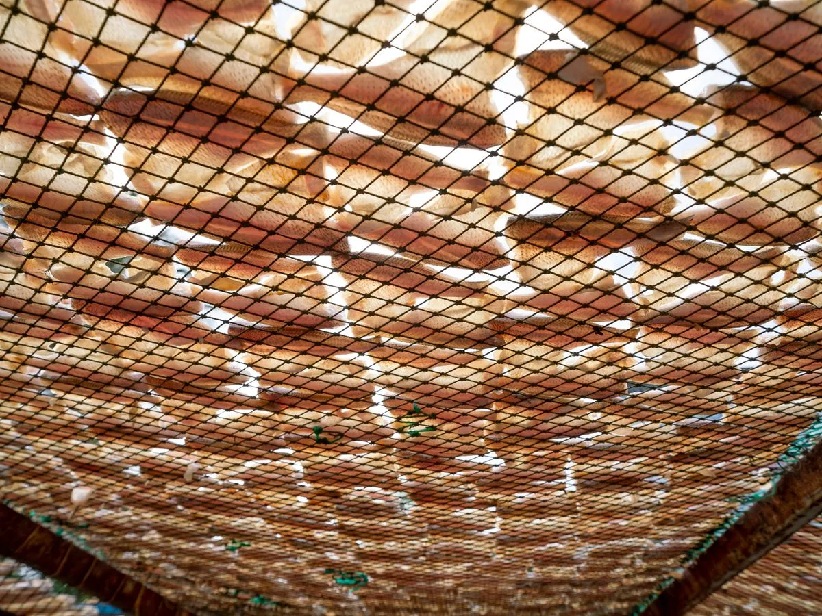 filet de camouflage pergola