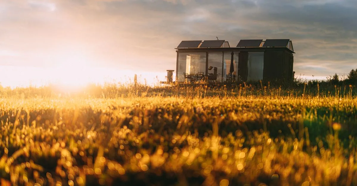 greenkub : solutions écologiques innovantes pour un avenir durable. découvrez nos produits respectueux de l'environnement et engagez-vous pour la planète.