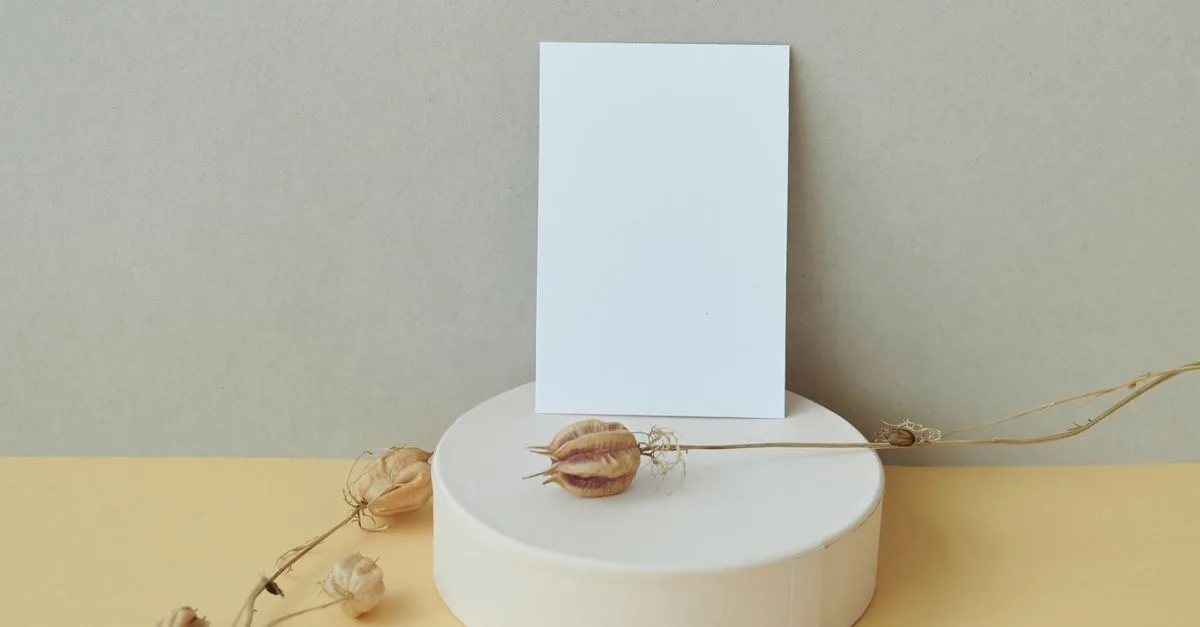 découvrez l'élégance du style minimaliste : simplicité, fonctionnalité et esthétique épurée pour un mode de vie moderne.